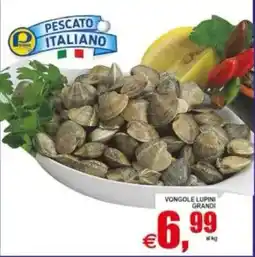 Pewex Vongole lupini grandi offerta