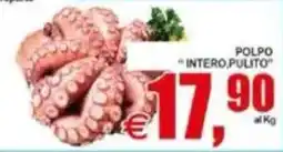 Pewex Polpo intero,pulito offerta