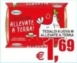 Pewex Tedaldi 6 uova m allevate a terra offerta