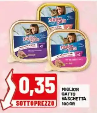 Miglior Gatto Vaschetta