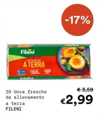 Uova fresche da allevamento a terra Fileni