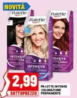 Risparmio Casa Palette Intense Colorazione Permanente offerta