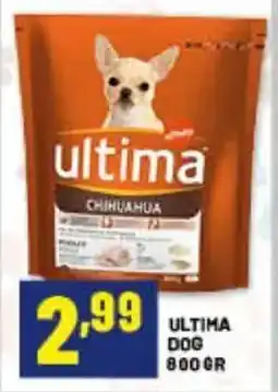 Risparmio Casa ultima dog chihuahua offerta