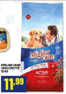 Risparmio Casa Miglior cane crocchette active offerta