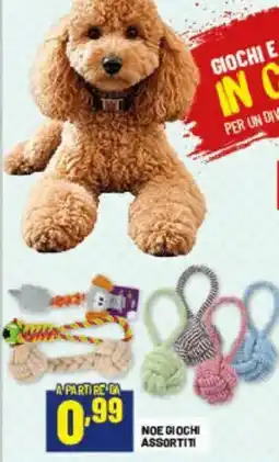 Risparmio Casa Noe giochi assortiti offerta