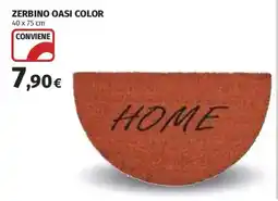 Ipercoop Zerbino Oasi Color offerta