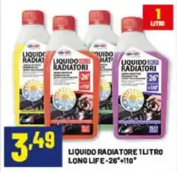 Risparmio Casa Liquido radiatore long life offerta