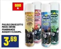 Risparmio Casa Puliscicruscotto Magic Shine offerta