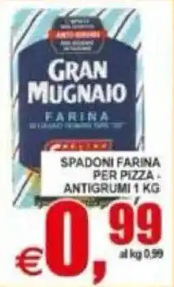 Pewex Spadoni farina per pizza antigrumi offerta