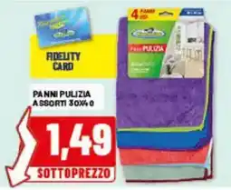 Risparmio Casa Panni pulizia assortiti offerta