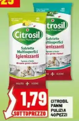 Risparmio Casa Citrosil panni pulizia offerta