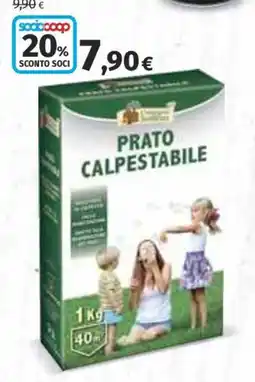 Ipercoop Prato calpestabile offerta