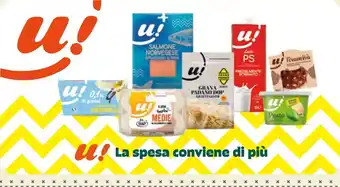 Borello Supermercati u! Salmone Norvegese offerta