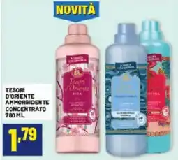 Risparmio Casa Tesori d'Oriente ammorbidente offerta