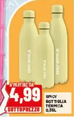 Risparmio Casa Spicy bottiglia termica offerta