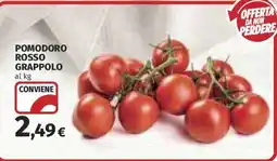 Ipercoop Pomodoro rosso grappolo offerta
