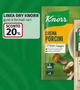Ipercoop Knorr Crema Porcini offerta
