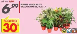 Italmark Piante verdi miste offerta