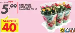 Italmark Rose Miste offerta