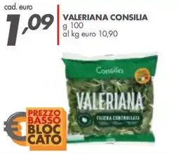 Italmark Valeriana Consilia offerta