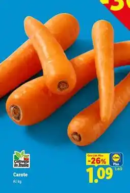 Lidl Carote offerta