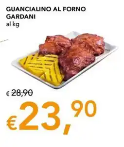 Migross Superstore Guancialino al forno Gardani offerta