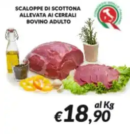 Supermercati Visotto Scaloppe di scottona allevata ai cereali bovino adulto offerta