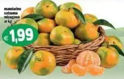 Il Castoro Supermercati mandarino satsuma miyagawa offerta