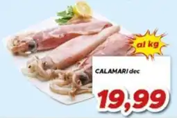 MA Supermercati Calamari dec offerta