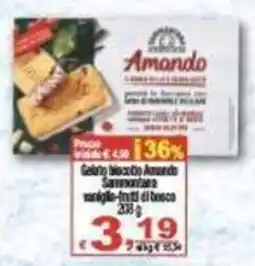CTS Supermercati Gelato bocconcino Amandò offerta