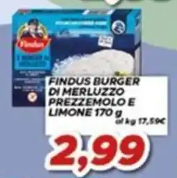MA Supermercati Findus burger di merluzzo prezzemolo e limone offerta