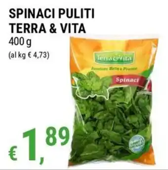 Spinaci Terra & Vita