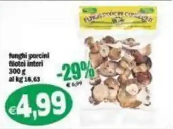 Funghi porcini filotei interi
