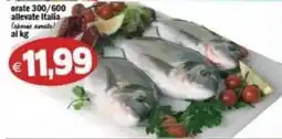 Il Castoro Supermercati orate allevate Italia offerta