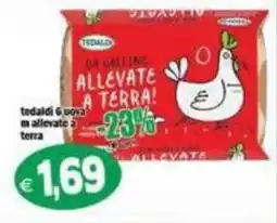 Il Castoro Supermercati Uova da galline allevate a terra offerta