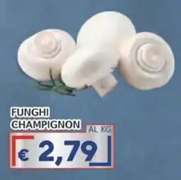 Italy Cash Funghi champignon offerta