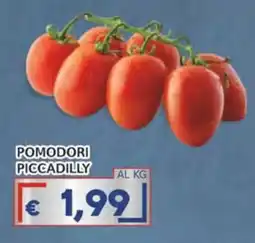 Italy Cash Pomodori Piccadilly offerta