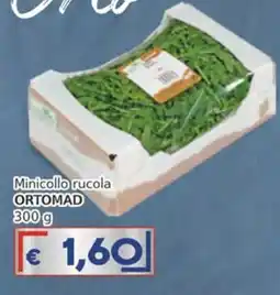Italy Cash Minicollo rucola ORTOMAD offerta