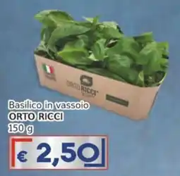 Italy Cash Basilico in vassoio ORTO RICCI offerta
