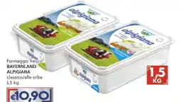 Italy Cash Formaggio fresco Bayernland Alpighiana classico offerta