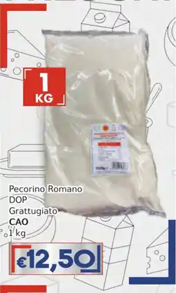 Italy Cash Pecorino Romano DOP Grattugiato CAO offerta
