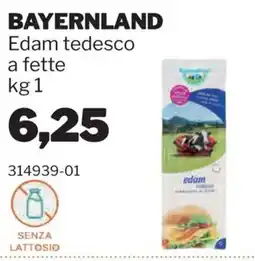 GrosMarket Bayernland Edam tedesco offerta