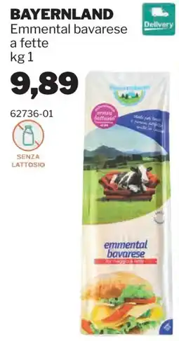 GrosMarket Bavarese Emmenthal offerta