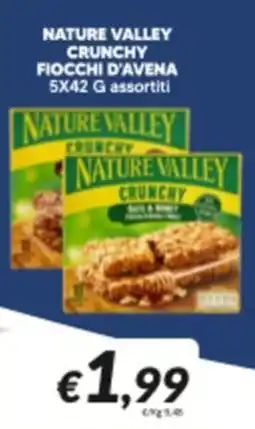 Supermercati Visotto Nature Valley crunchy fiocchi d'avena offerta
