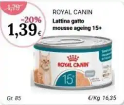Re Mercato Lucrezia Royal Canin Lattina gatto mousse ageing 15+ offerta