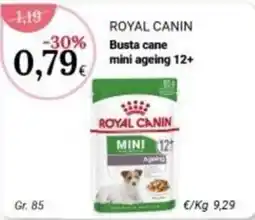 Re Mercato Lucrezia Royal Canin busta cane mini ageing 12+ offerta