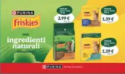 Supermercati Visotto Friskies Secco Gatto offerta