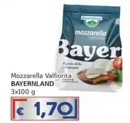 Italy Cash Mozzarella Valfiorita Bayer offerta