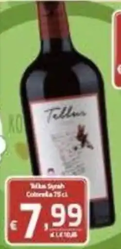 CTS Supermercati Tallan Syrah offerta