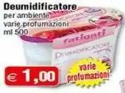 Magazzini Smart Deumidificatore ratigni offerta